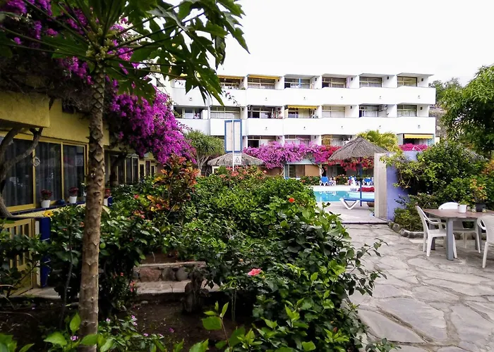 Bougainvillea Bamira * Маспаломас